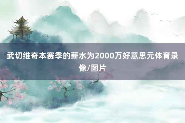 武切维奇本赛季的薪水为2000万好意思元体育录像/图片