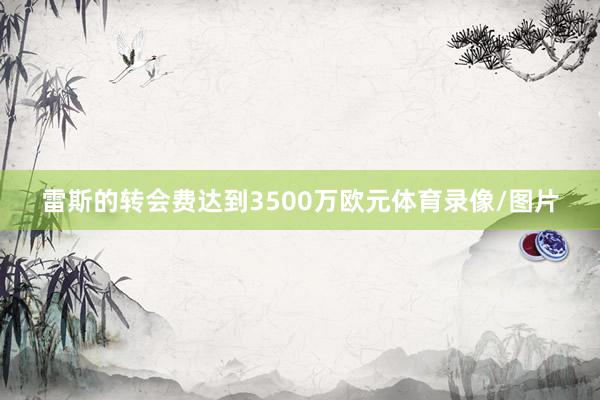 雷斯的转会费达到3500万欧元体育录像/图片