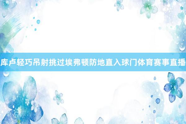 库卢轻巧吊射挑过埃弗顿防地直入球门体育赛事直播