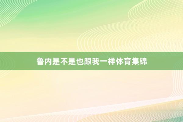 鲁内是不是也跟我一样体育集锦