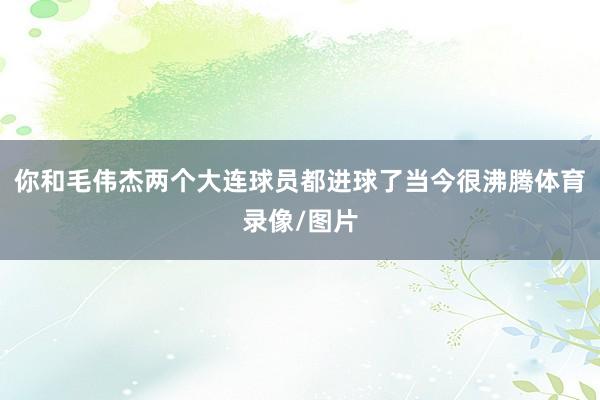 你和毛伟杰两个大连球员都进球了当今很沸腾体育录像/图片