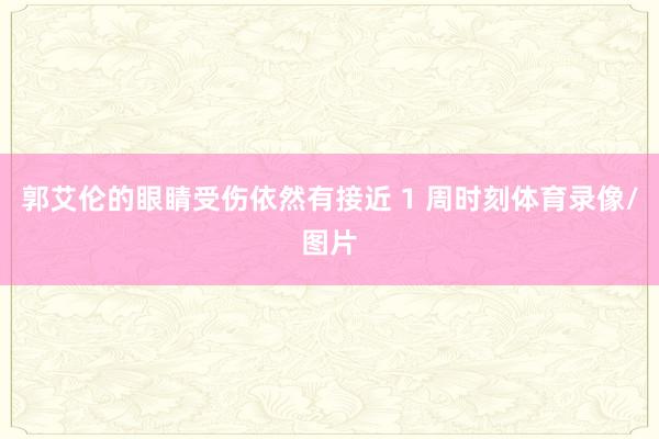 郭艾伦的眼睛受伤依然有接近 1 周时刻体育录像/图片
