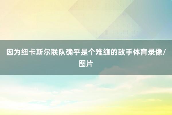 因为纽卡斯尔联队确乎是个难缠的敌手体育录像/图片