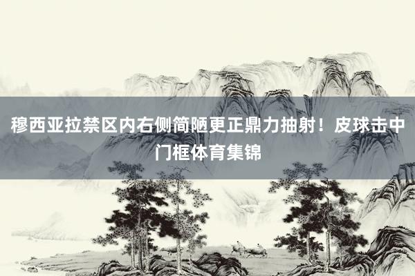 穆西亚拉禁区内右侧简陋更正鼎力抽射！皮球击中门框体育集锦