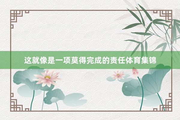 这就像是一项莫得完成的责任体育集锦
