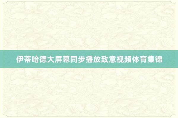 伊蒂哈德大屏幕同步播放致意视频体育集锦