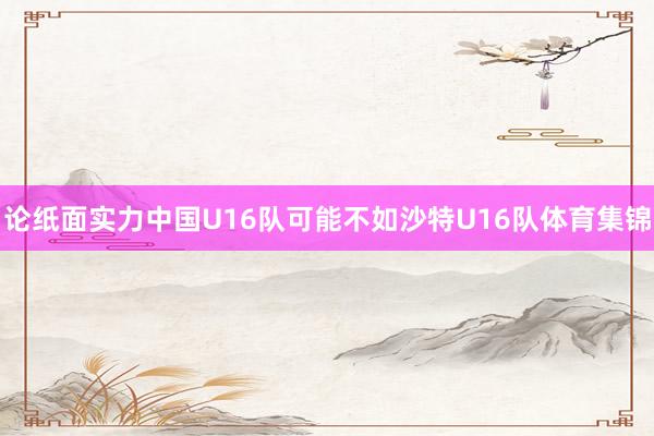 论纸面实力中国U16队可能不如沙特U16队体育集锦
