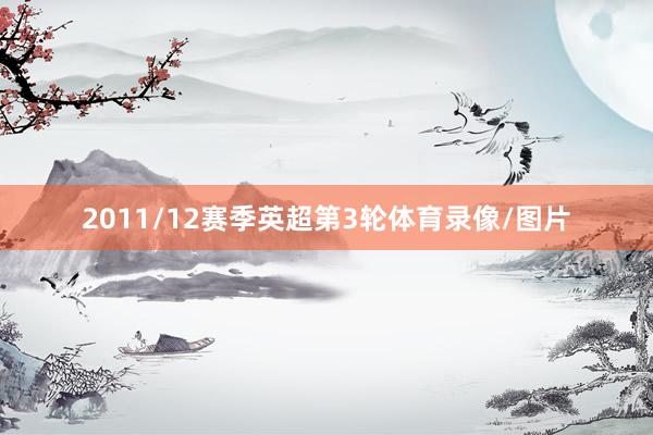 2011/12赛季英超第3轮体育录像/图片