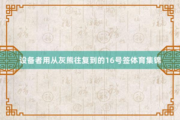 设备者用从灰熊往复到的16号签体育集锦