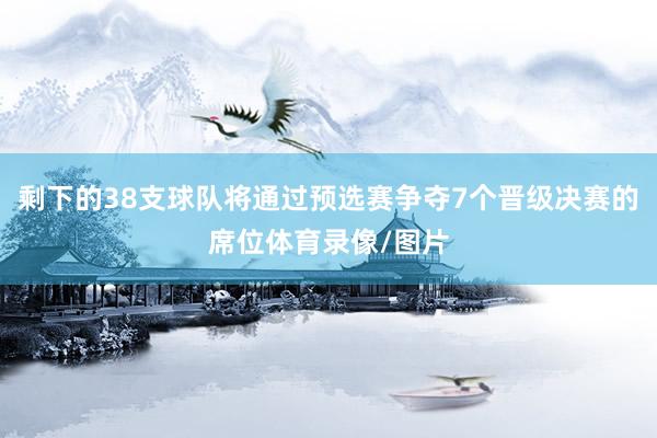 剩下的38支球队将通过预选赛争夺7个晋级决赛的席位体育录像/图片