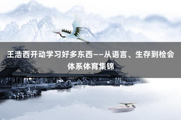 王浩西开动学习好多东西——从语言、生存到检会体系体育集锦