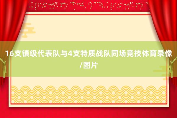 16支镇级代表队与4支特质战队同场竞技体育录像/图片