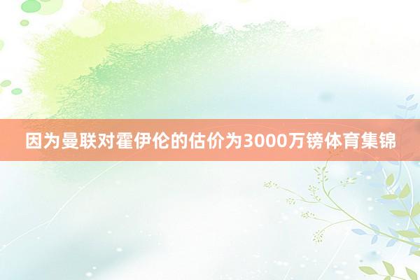 因为曼联对霍伊伦的估价为3000万镑体育集锦