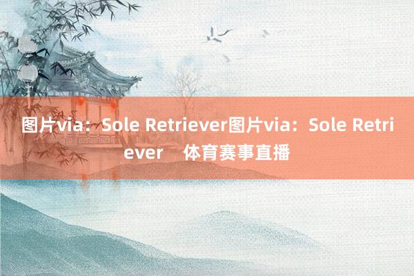 图片via：Sole Retriever图片via：Sole Retriever    体育赛事直播
