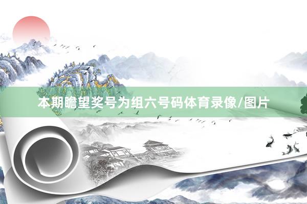 本期瞻望奖号为组六号码体育录像/图片