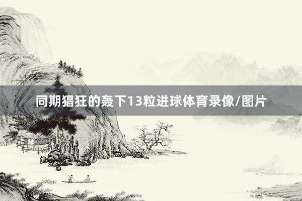 同期猖狂的轰下13粒进球体育录像/图片