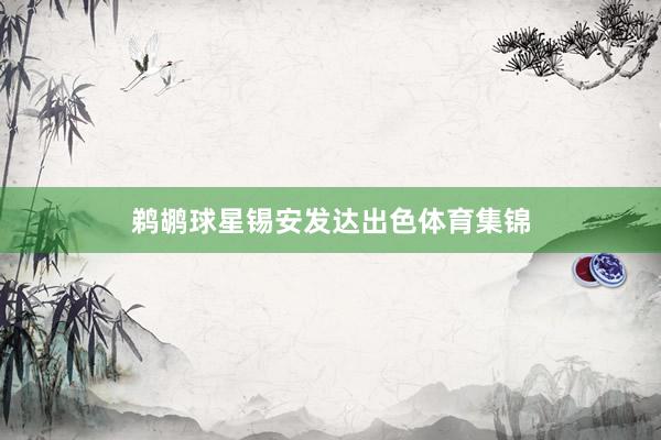鹈鹕球星锡安发达出色体育集锦
