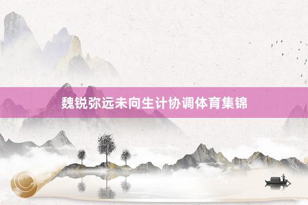 魏锐弥远未向生计协调体育集锦