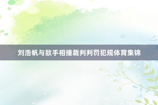 刘浩帆与敌手相撞裁判判罚犯规体育集锦
