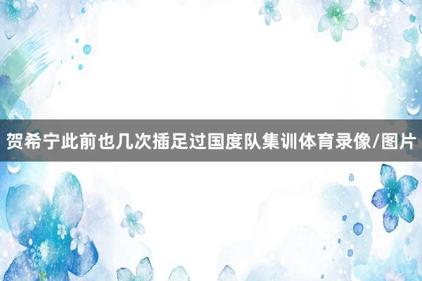 贺希宁此前也几次插足过国度队集训体育录像/图片