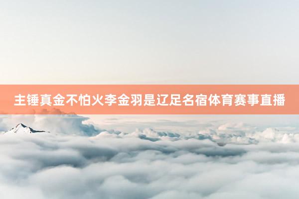主锤真金不怕火李金羽是辽足名宿体育赛事直播