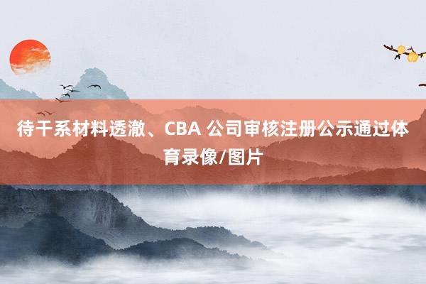 待干系材料透澈、CBA 公司审核注册公示通过体育录像/图片