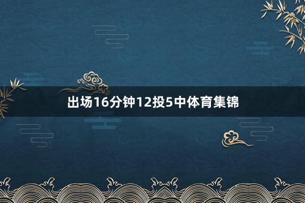 出场16分钟12投5中体育集锦