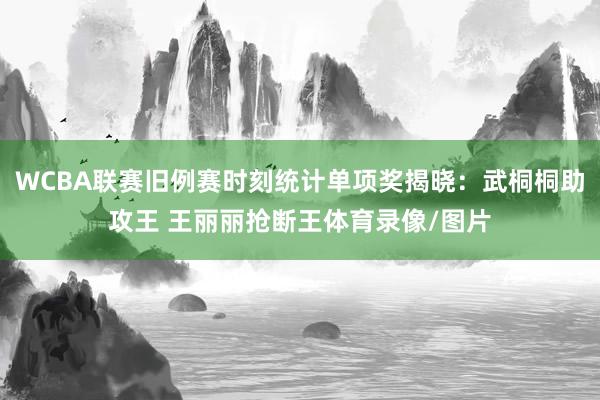 WCBA联赛旧例赛时刻统计单项奖揭晓：武桐桐助攻王 王丽丽抢断王体育录像/图片