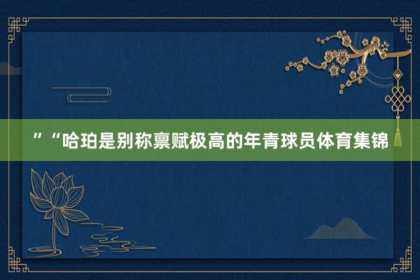 ”“哈珀是别称禀赋极高的年青球员体育集锦