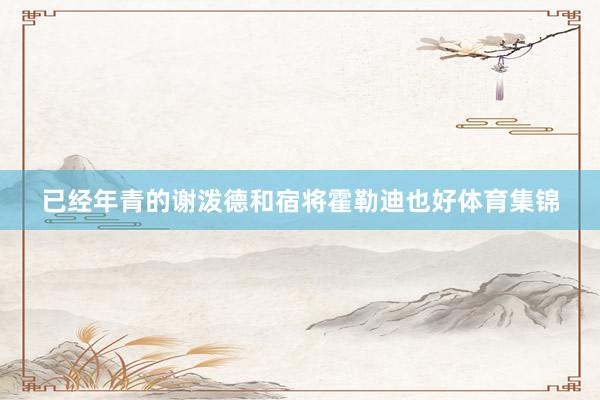 已经年青的谢泼德和宿将霍勒迪也好体育集锦