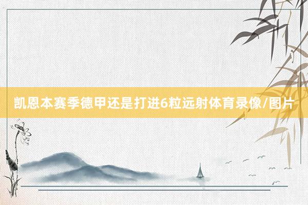 凯恩本赛季德甲还是打进6粒远射体育录像/图片