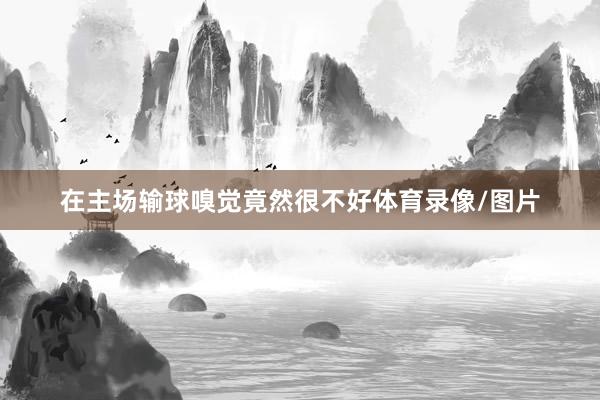 在主场输球嗅觉竟然很不好体育录像/图片