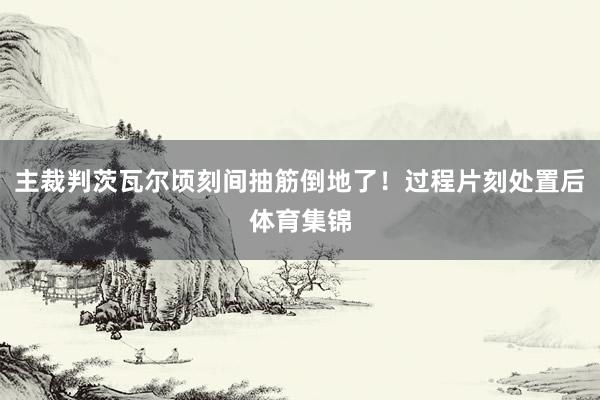 主裁判茨瓦尔顷刻间抽筋倒地了！过程片刻处置后体育集锦