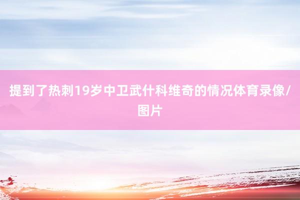 提到了热刺19岁中卫武什科维奇的情况体育录像/图片